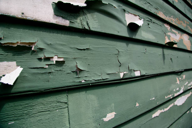 Best Dumpster Rental Services  in Alamae, NC