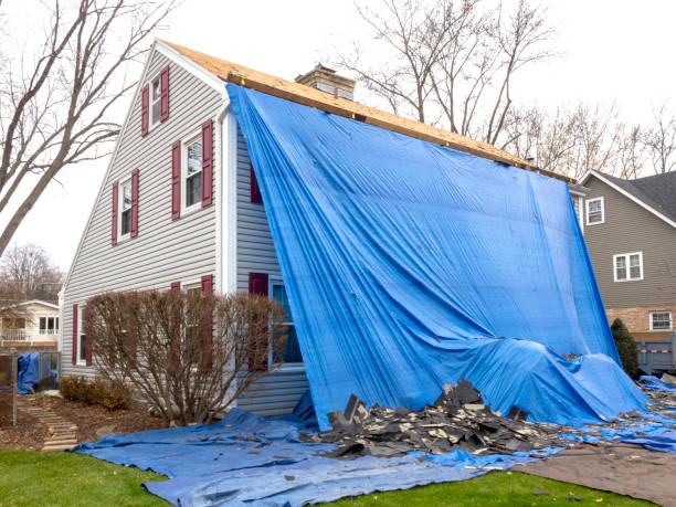 Best Basement Cleanout  in Alamae, NC